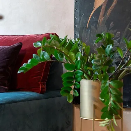 Ca Dei Dalmati - The Blue Canal View